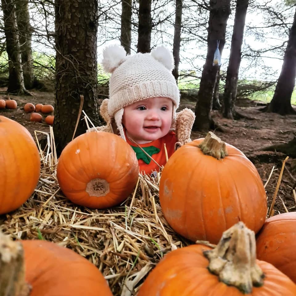 Pumpkin Patch