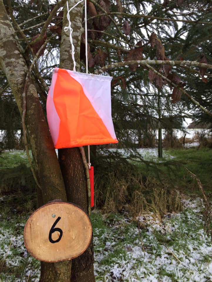 Orienteering